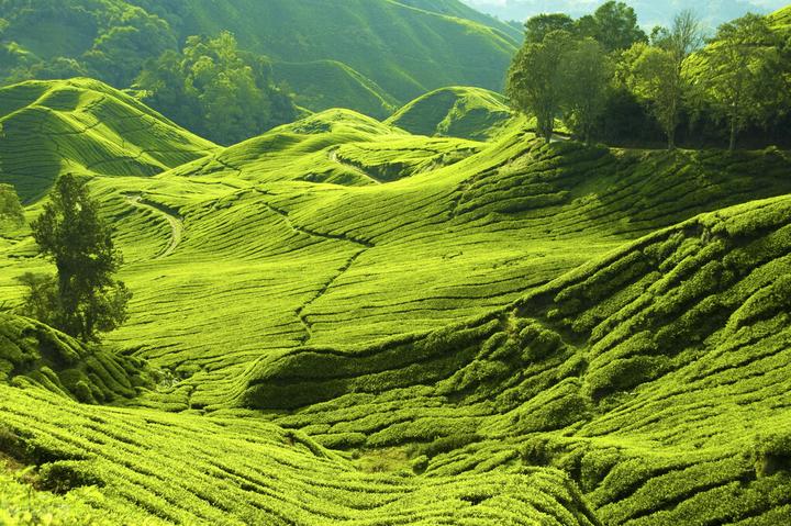 穿越火线透视自瞄免费手游_穿越火线透视自瞄_穿越火线透视软件下载手游